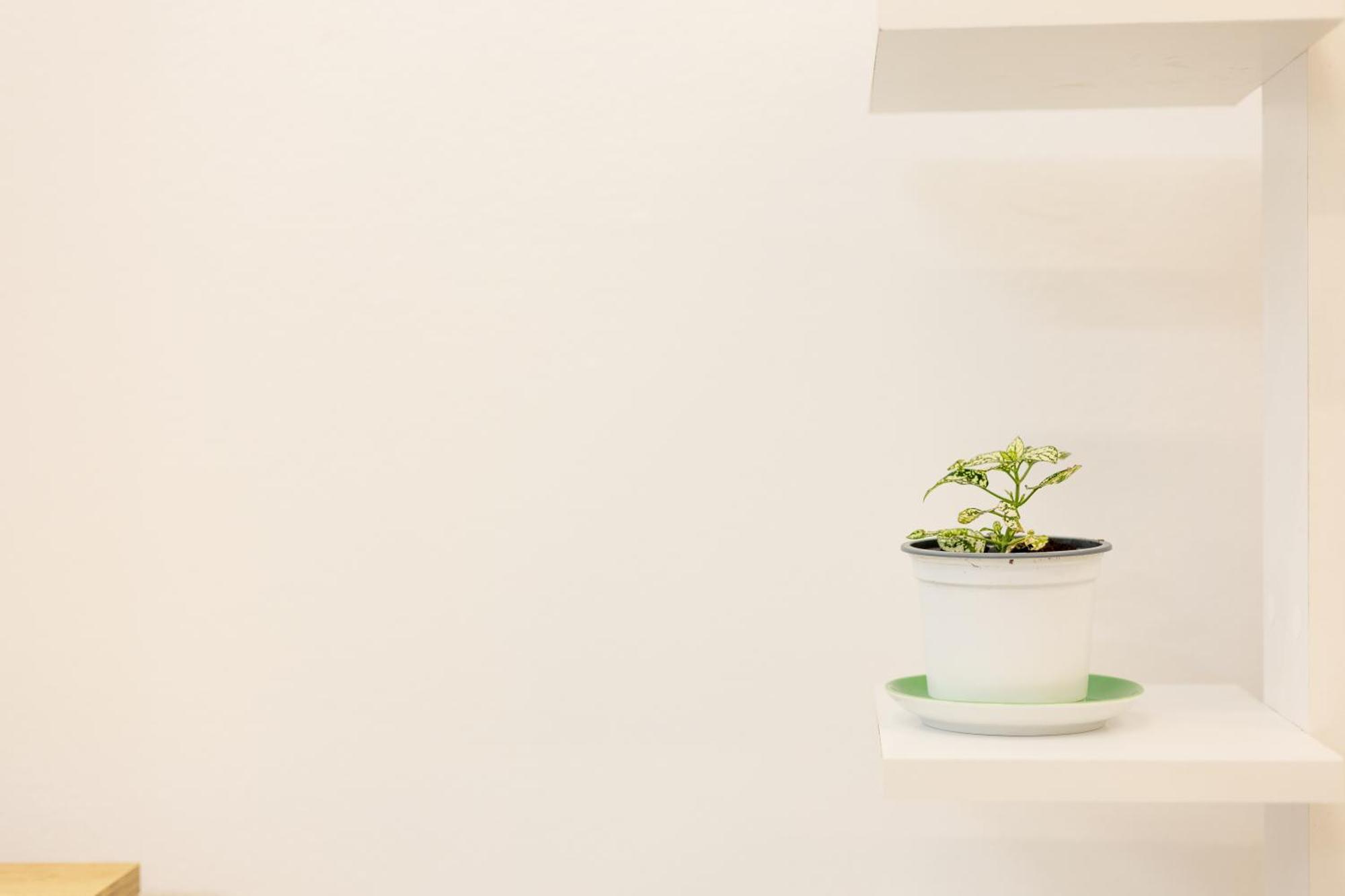 Free Parking Sudio Tiranaアパートメント エクステリア 写真